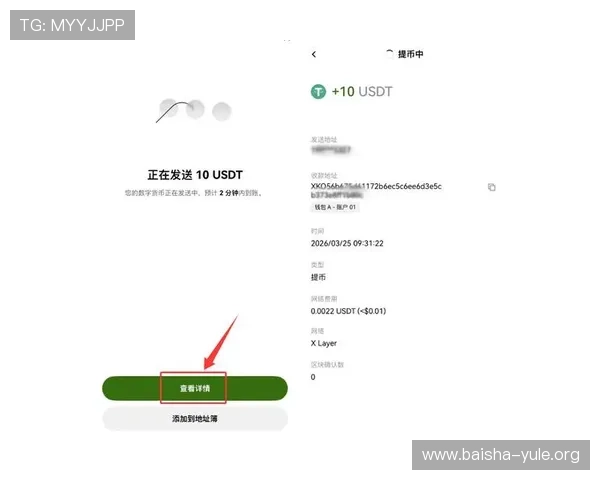 百樂坊在线娱乐城的支付方式多样化及快速提现流程详解